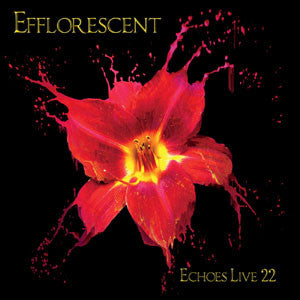 Efflorescent Echoes Live 22